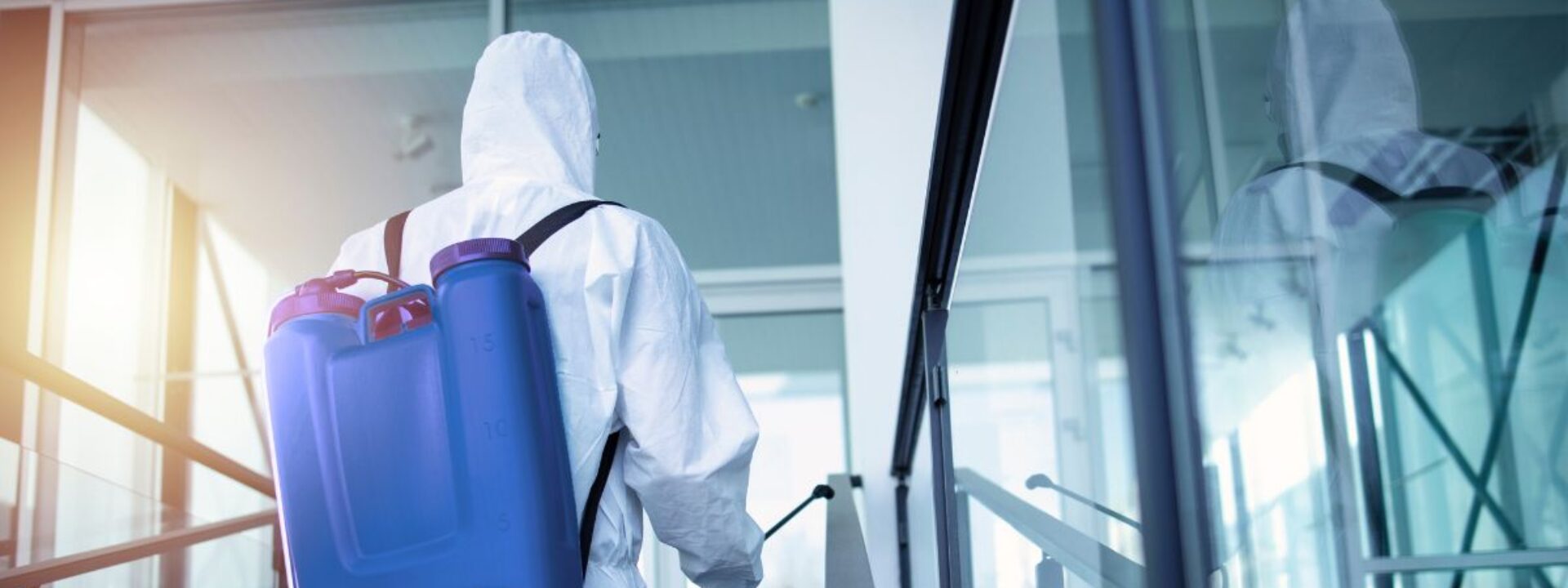 Ongediertebestrijding