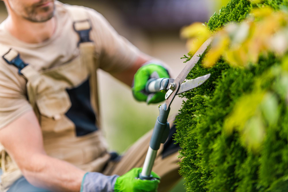 Groenonderhoud EW Facility Services